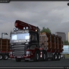 gts 00212 - TSLâ„¢ HOLZ Transport