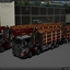 TSL™ Company 6x6 + 8x4 Full - TSL™ HOLZ Transport