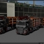 TSLâ„¢ Company 6x6 + 8x4 Fu... - TSLâ„¢ HOLZ Transport