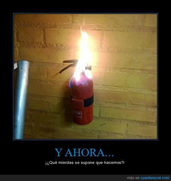 58869 498897890183108 400439410 n - 