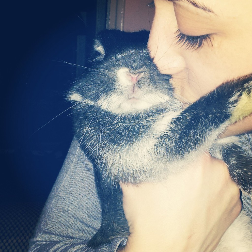 IMG 20130327 185856 - 