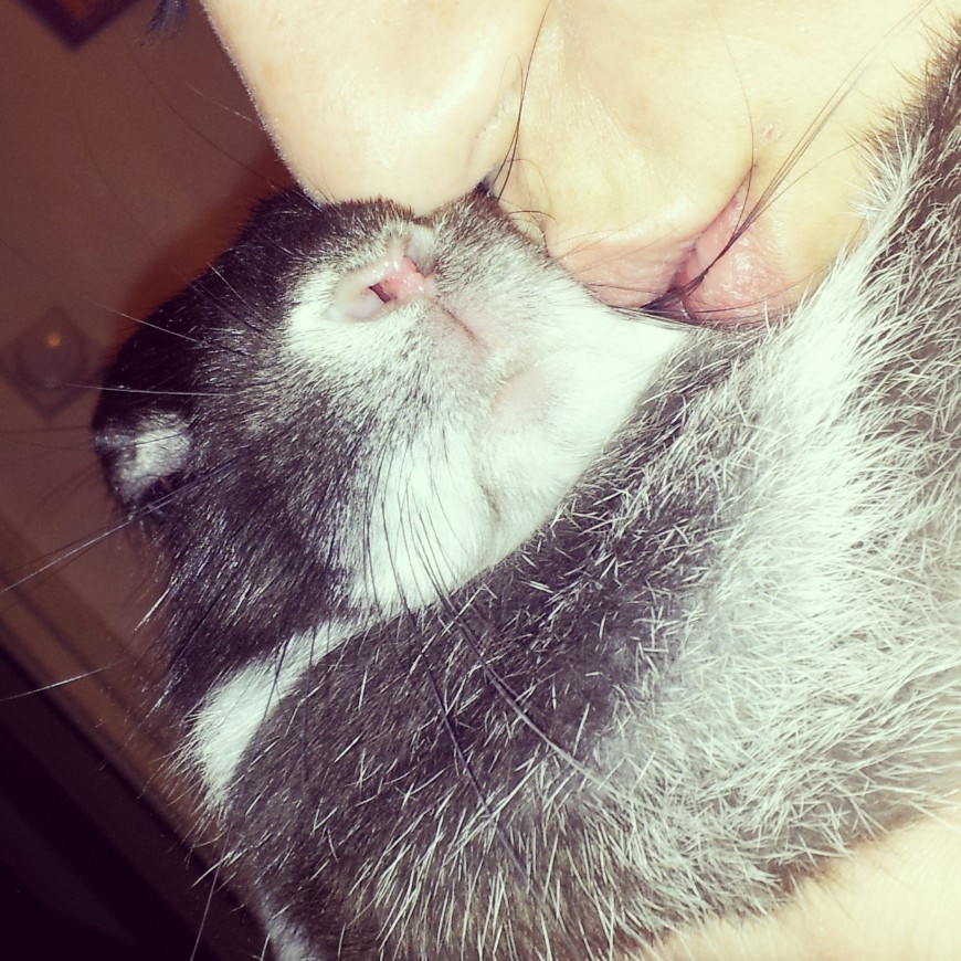 IMG 20130327 185615 - 