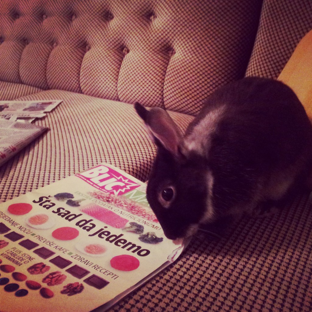 IMG 20130407 224517 - 