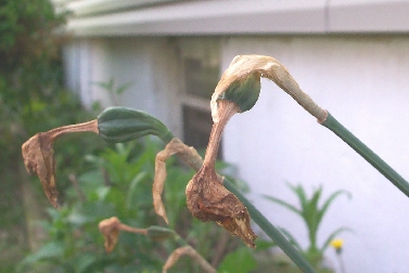 2002080806019867.im - 