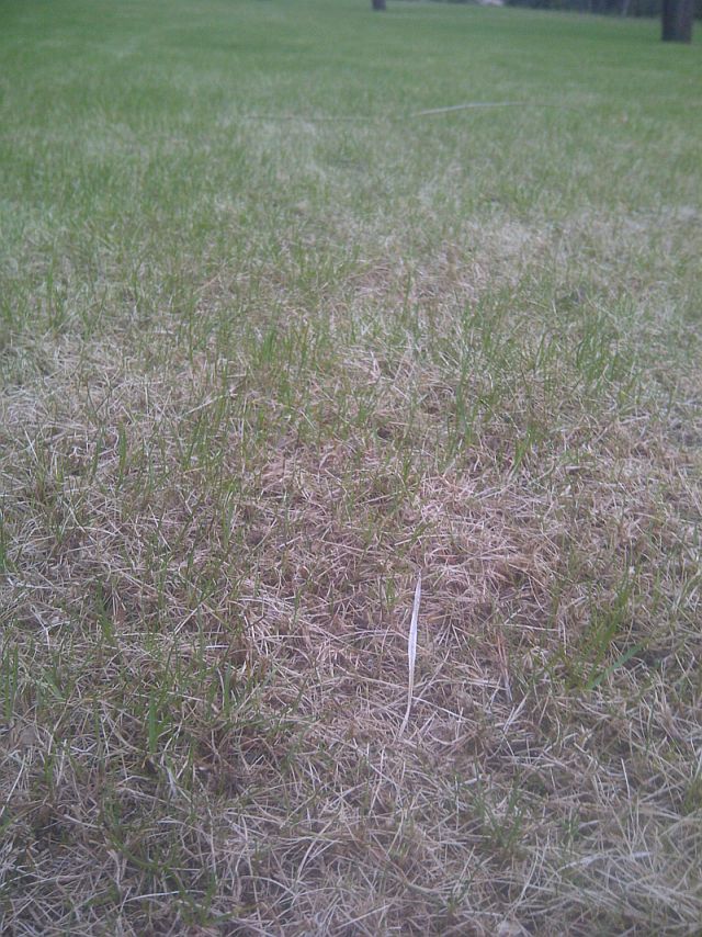 IMG-20130427-00967 x - 