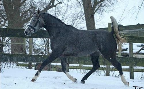 wat een lekkerding - 