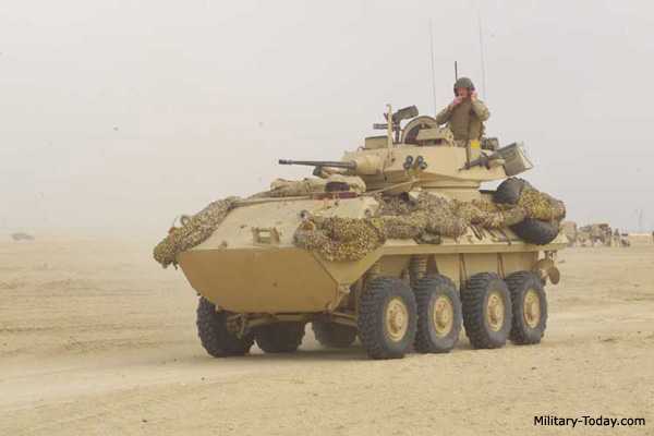 lav25 (2) - 