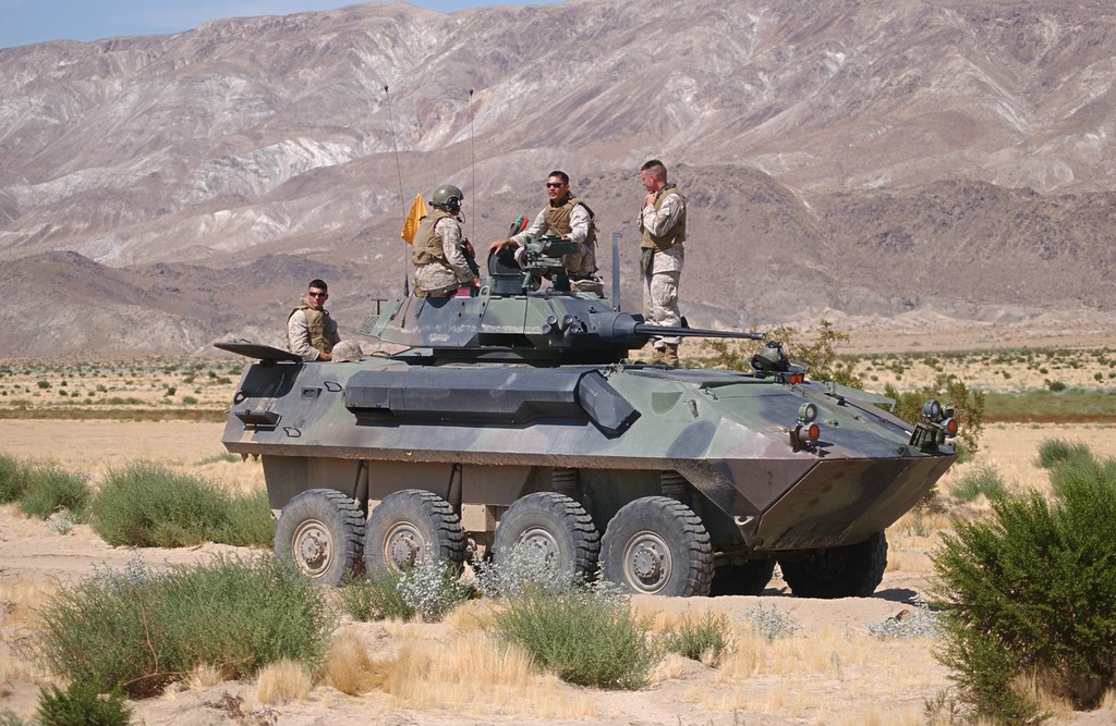 lav25 (5) - 