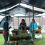 R.Th.B.Vriezen 2013 05 11 2068 - WWP2 WijkOpFleurAktie Presikhaaf2 zaterdag 11 mei 2013