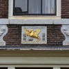 vliegendekalf - Amsterdam winter
