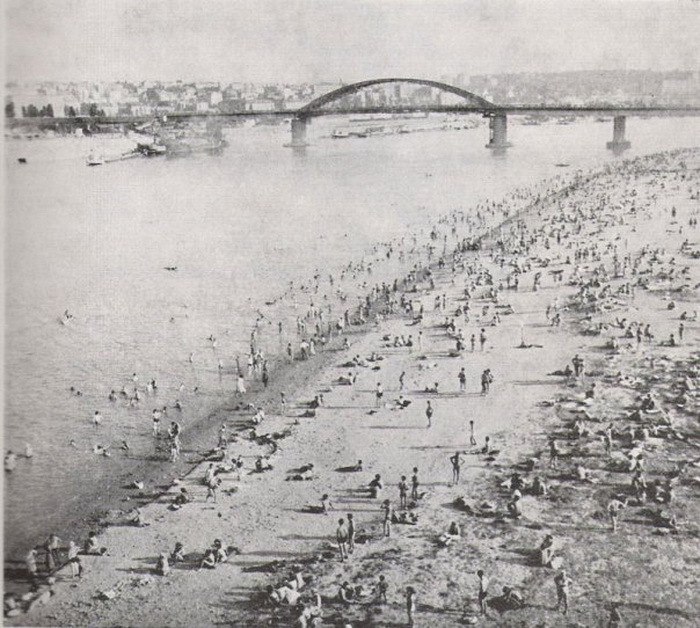 22473301118275942825262 - 