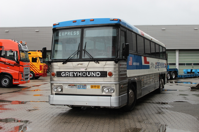 greyhound bvpp32 (6) 10 jaar bb