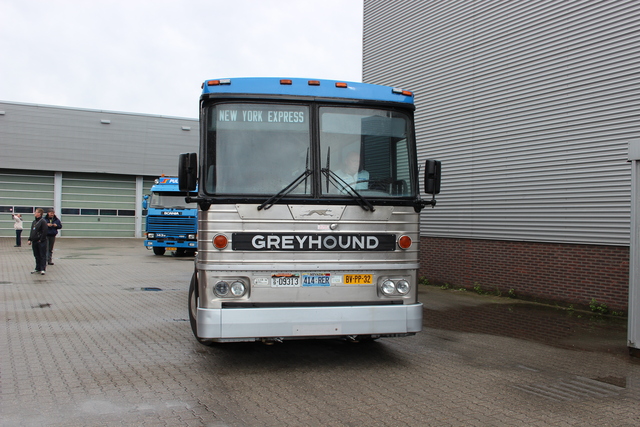 greyhound bvpp32 (10) 10 jaar bb