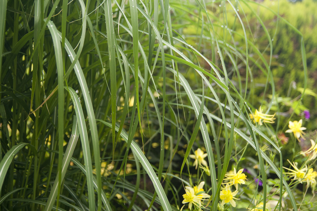 5840468569 e7b71e6fc5 b - 