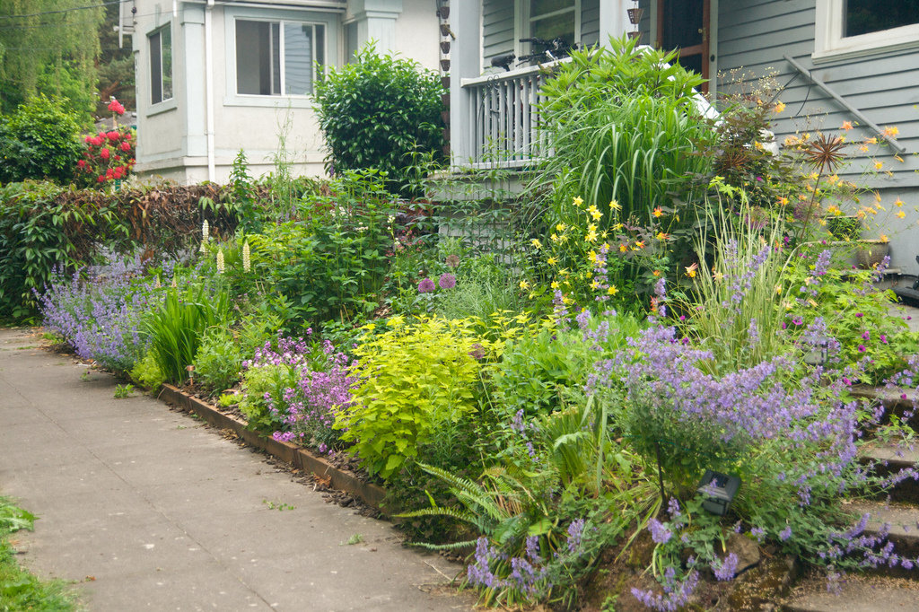 5835643731 2ded5535a4 b - 