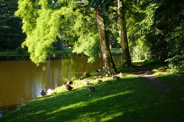 P1010339 Vondelpark