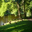 P1010339 - Vondelpark