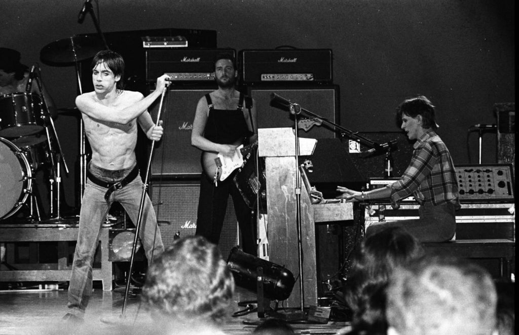 db iggy 3 mom-3b54a0f - 