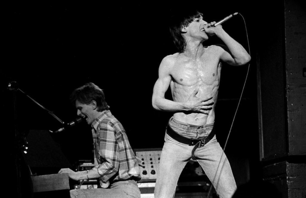 db iggy 2 mom-3b54a0c - 