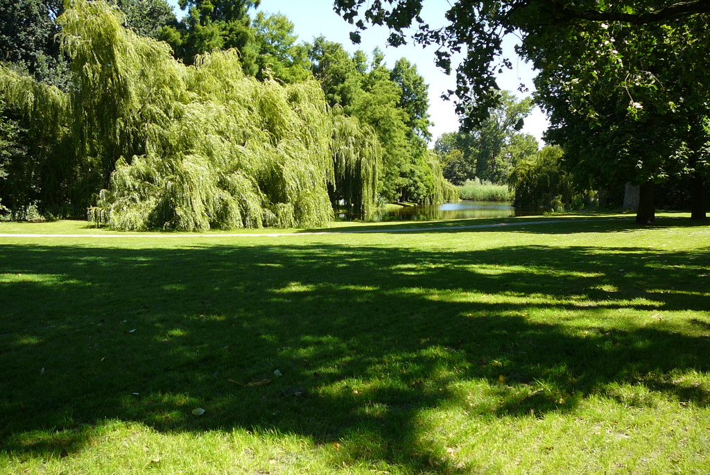 P1010373 - Vondelpark