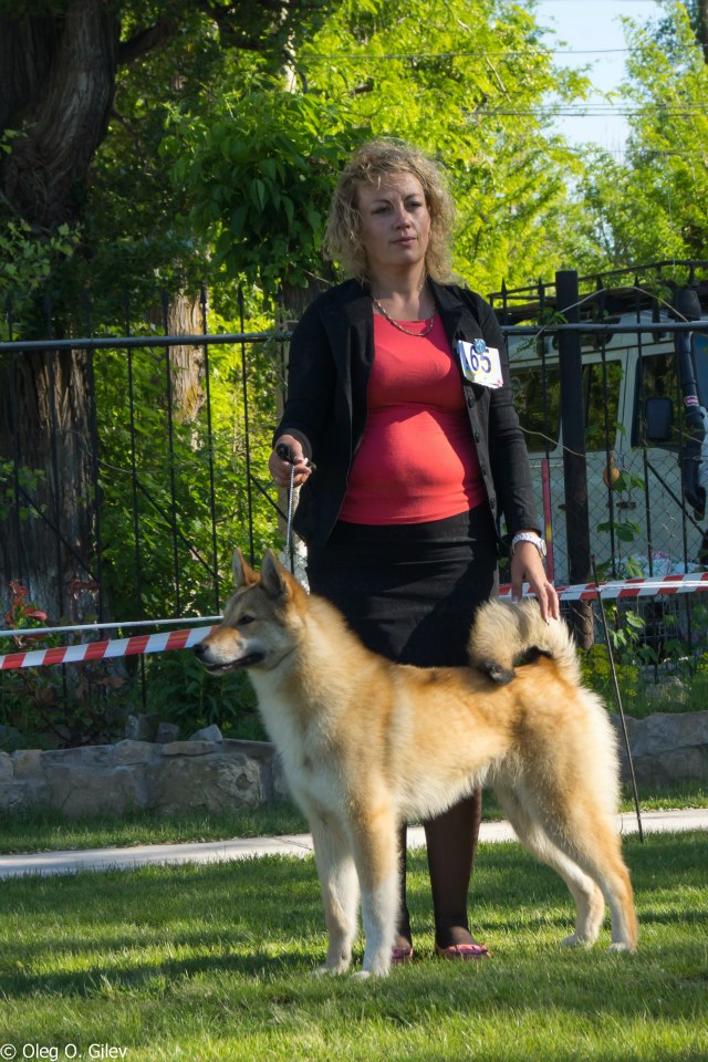 941595 135928809926229 842432232 n - 