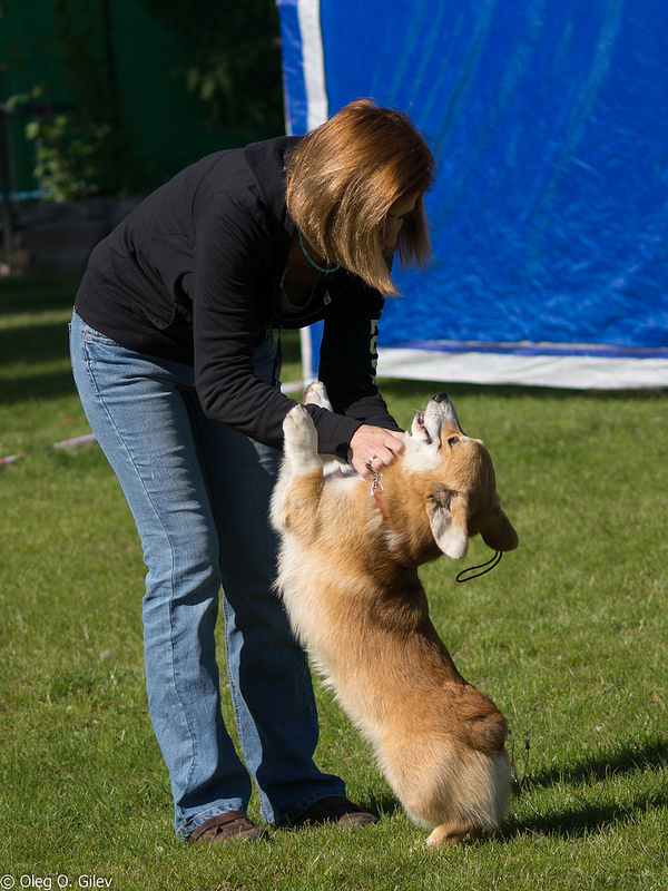 8728659855 4a31f95a78 c - 