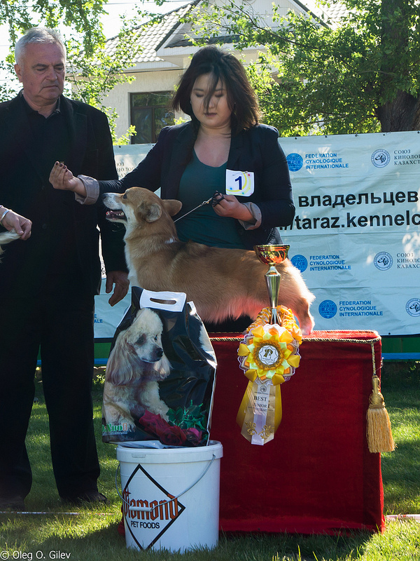 8728670023 f3b2829826 c - 