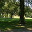 P1010391 - Vondelpark