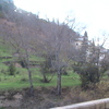 DSC00839 - La Alpujarra 2009
