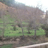 DSC00842 - La Alpujarra 2009