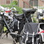 IMG 0780 - Solex Oosterbeek