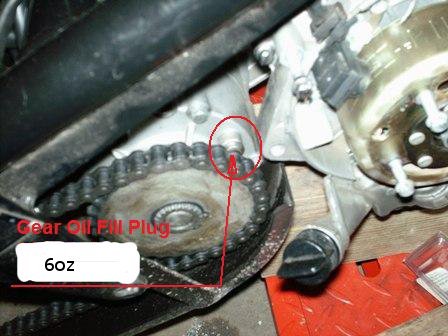 Trike Gear Oil Plug6oz - 