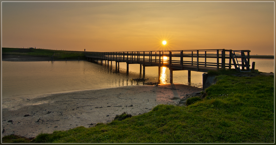 DSC 5779 Prunje Brugzicht - 