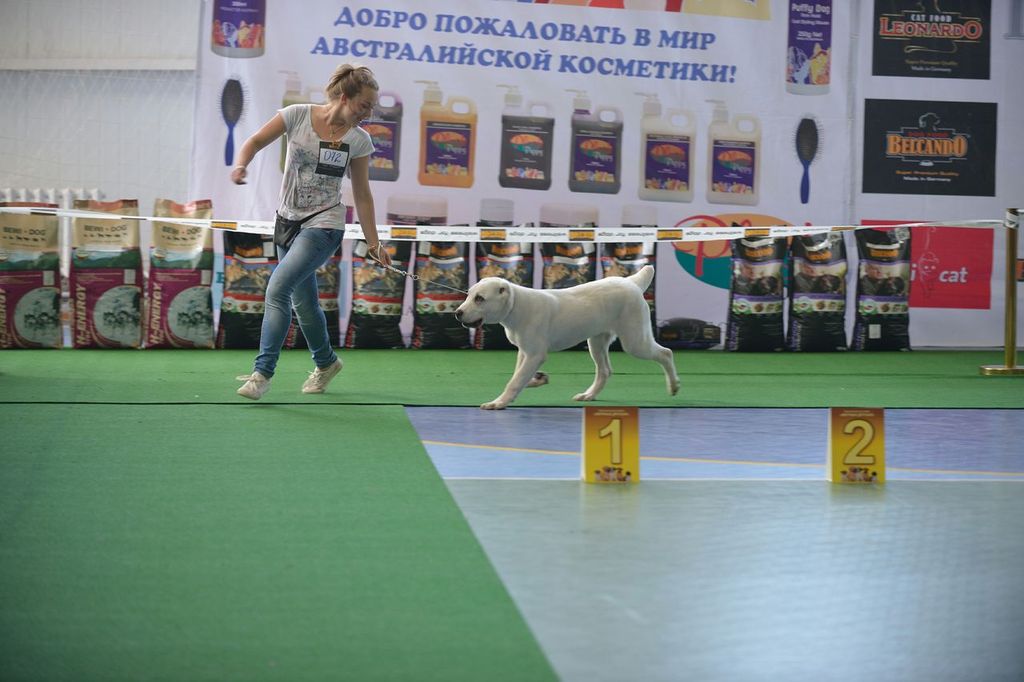 iVs3YTBh xoFMqCIgG82Hfx9BDYz3TAFSKFx-xjxNR4 - 