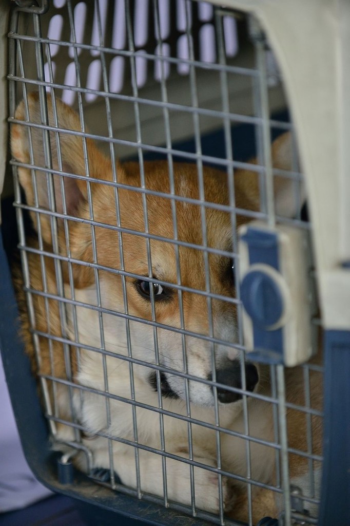 ddRDH w6SoPGUYvw5YT37CaEvjN KwYO1YHsFEs3lb0,FZSL5W - 