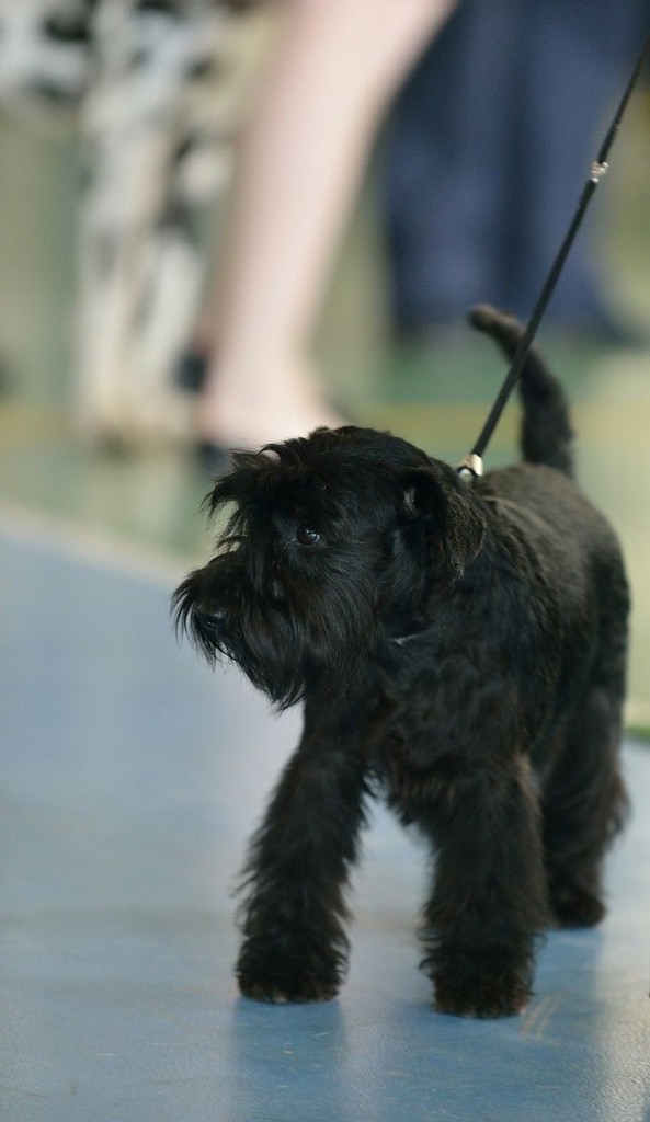 BaiEP08siffNS8Hxx6k91Zl4Nk77uQN-DRiijTC-wXE,symCPd - 