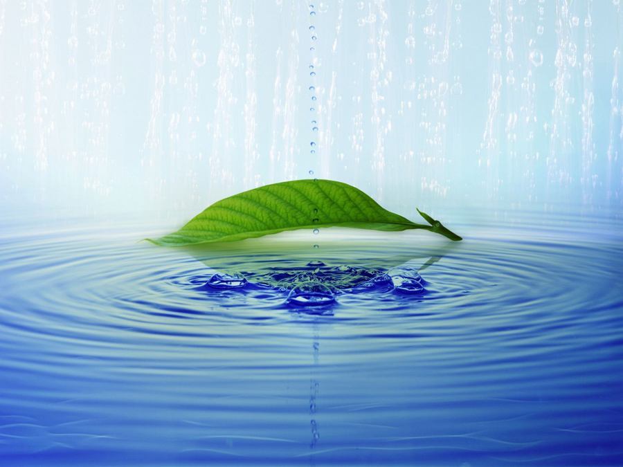 Leaf in water - 
