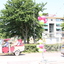 R.Th.B.Vriezen 2013 06 08 2433 - Presikhaaf2 Deltakwartier Bouw fase 2b en omgeving juni 2013