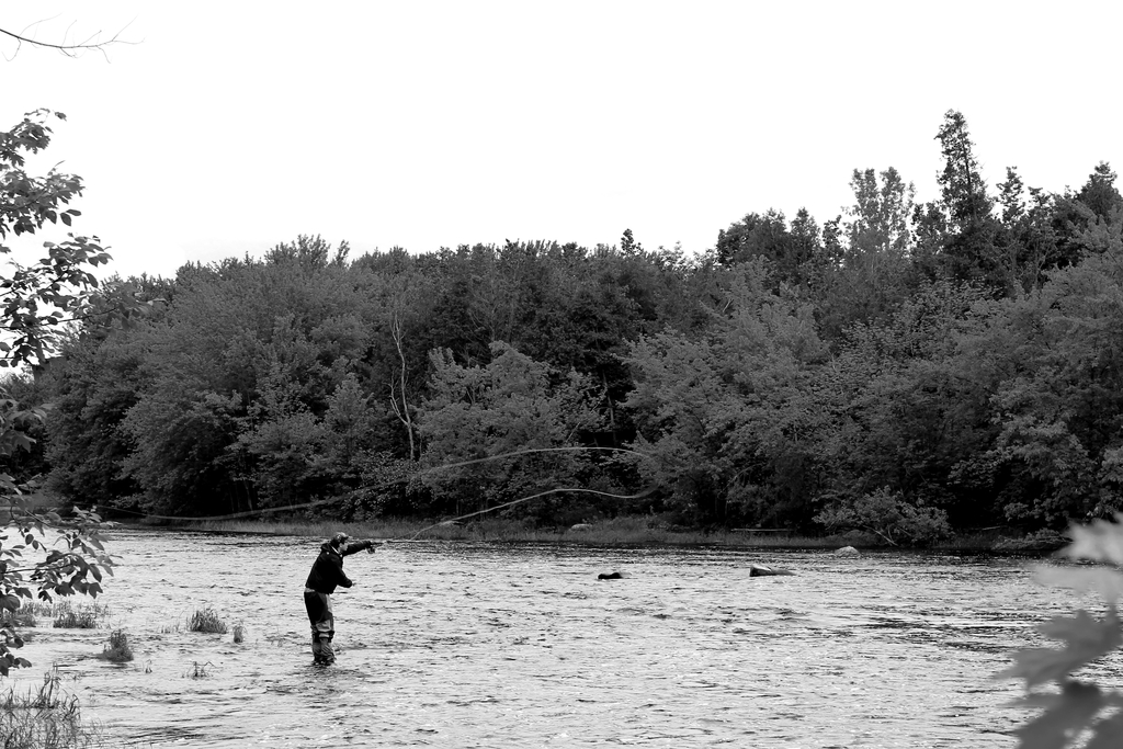 IMG 6807 tonemapped - 