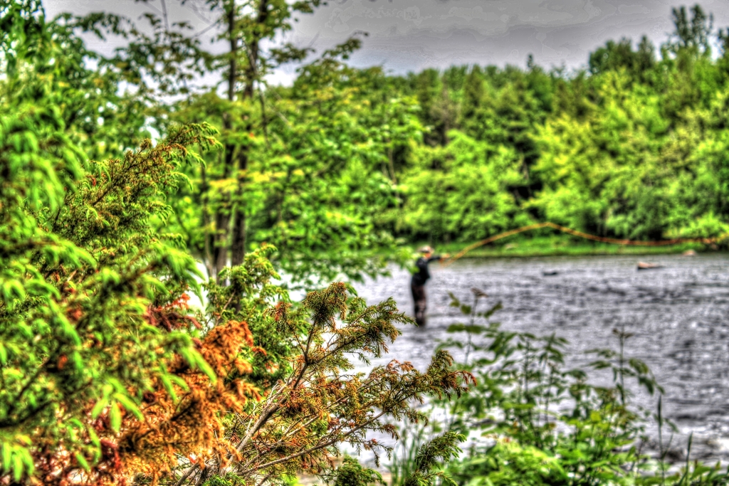 IMG 6804 tonemapped - 