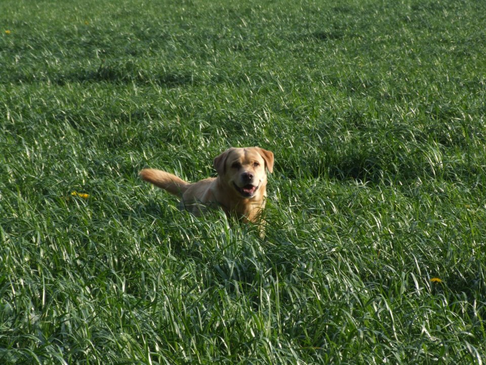 538255 175441352585414 668083298 n - 