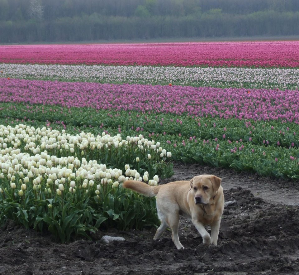 481308 193679007428315 1809828934 n - 