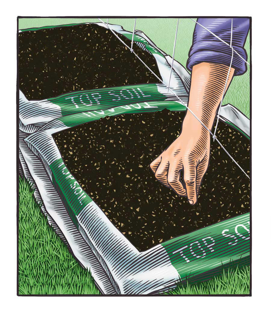 MEN-AM10-starter-garden-planting1 - 