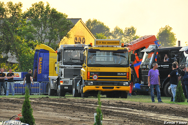 14-06-2013 187-BorderMaker Renswoude 14-06-2013