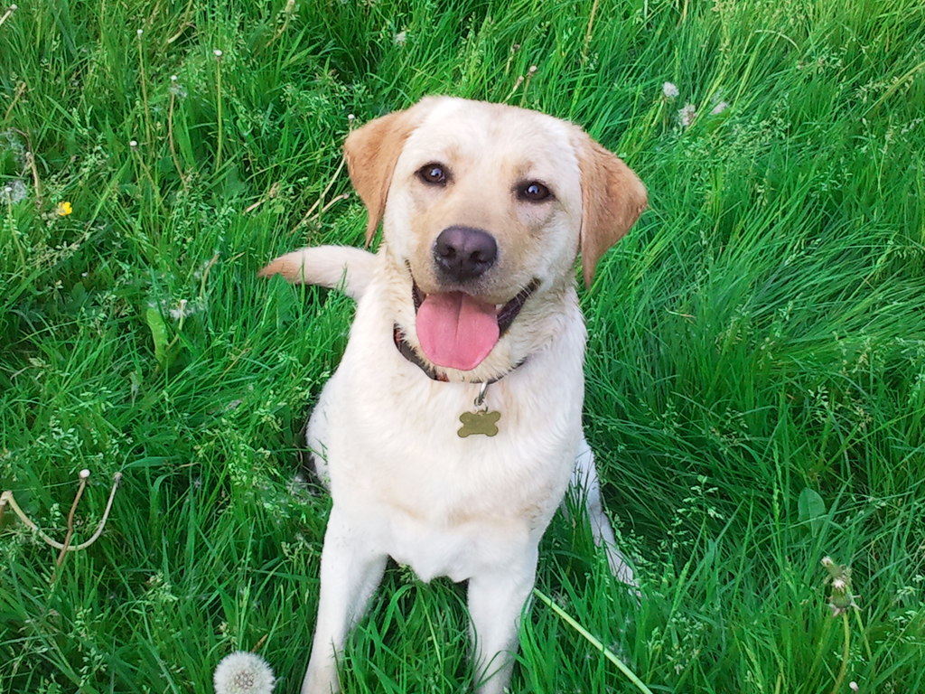 2012-05-22 18.49.38 - 