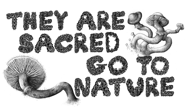 They Are Sacred - Go to Nature - Bill Hicks Picture Box