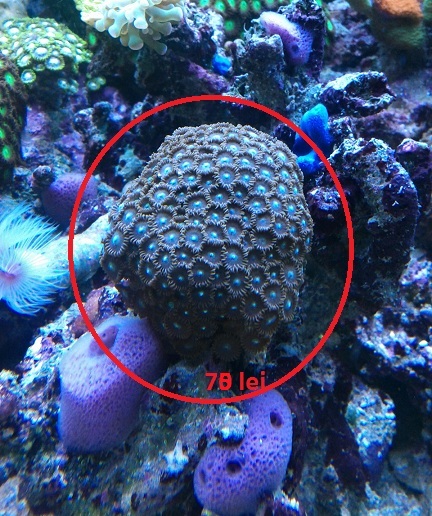 IMG 20130627 120758 - 