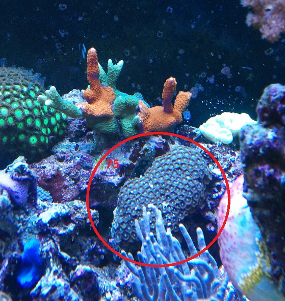 IMG 20130627 120814 - 