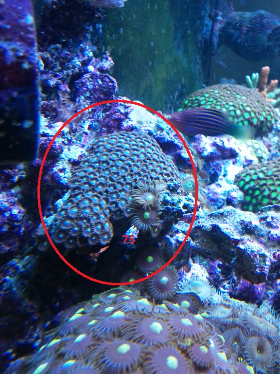 IMG 20130627 120831 - 