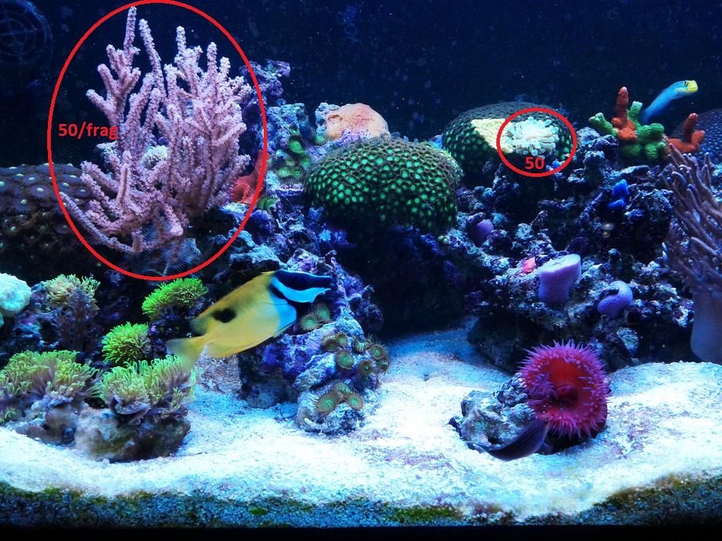 IMG-20130616-17293347 - 